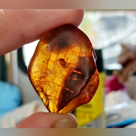 Baltic amber, incased  flying insect , rare & Unique Beautiful shape and colors - Picture 6 of 8
